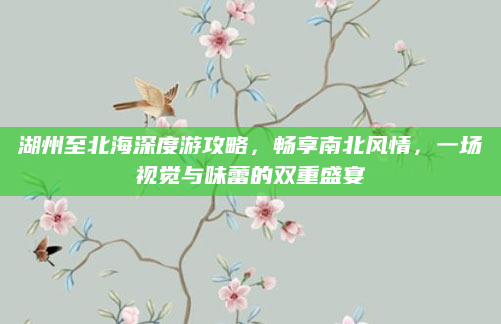 湖州至北海深度游攻略，畅享南北风情，一场视觉与味蕾的双重盛宴