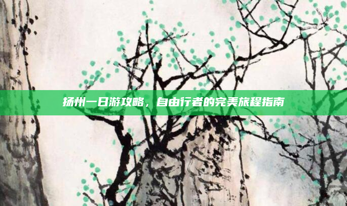 扬州一日游攻略，自由行者的完美旅程指南