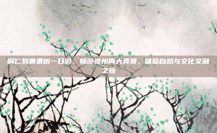铜仁到黄果树一日游，畅游贵州两大美景，体验自然与文化交融之旅