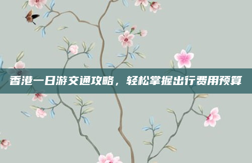 香港一日游交通攻略,轻松掌握出行费用预算