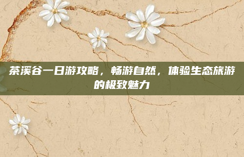 茶溪谷一日游攻略,畅游自然,体验生态旅游的极致魅力
