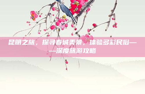 昆明之旅,探寻春城美景,体验多彩民俗——深度旅游攻略
