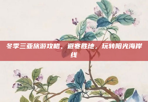 冬季三亚旅游攻略,避寒胜地,玩转阳光海岸线