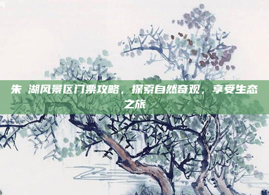 朱鹮湖风景区门票攻略,探索自然奇观,享受生态之旅