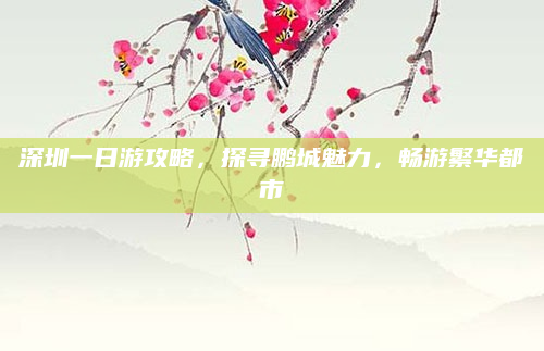 深圳一日游攻略,探寻鹏城魅力,畅游繁华都市