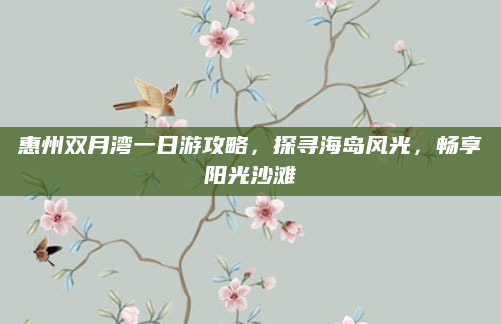 惠州双月湾一日游攻略,探寻海岛风光,畅享阳光沙滩