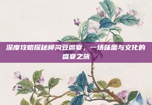 深度攻略探秘柳沟豆腐宴，一场味蕾与文化的盛宴之旅