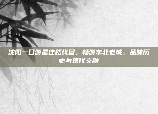 沈阳一日游最佳路线图，畅游东北老城，品味历史与现代交融