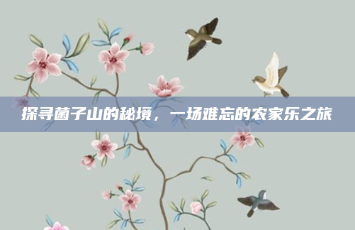 探寻菌子山的秘境,一场难忘的农家乐之旅