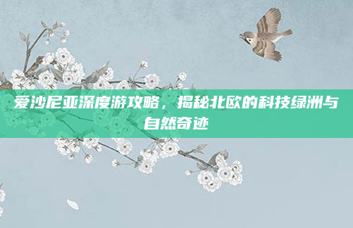 爱沙尼亚深度游攻略，揭秘北欧的科技绿洲与自然奇迹