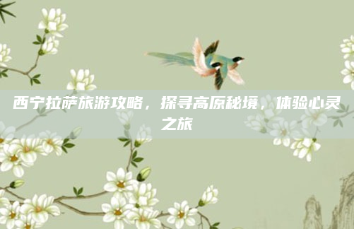 西宁拉萨旅游攻略，探寻高原秘境，体验心灵之旅
