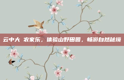 云中大漈农家乐,体验山野田园,畅游自然秘境