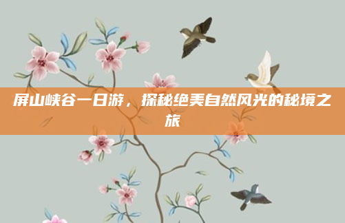 屏山峡谷一日游,探秘绝美自然风光的秘境之旅