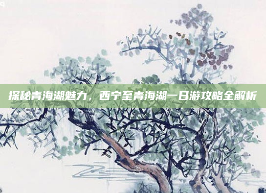 探秘青海湖魅力,西宁至青海湖一日游攻略全解析