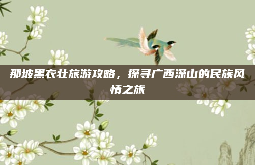 那坡黑衣壮旅游攻略，探寻广西深山的民族风情之旅