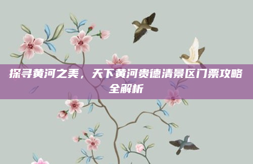 探寻黄河之美,天下黄河贵德清景区门票攻略全解析