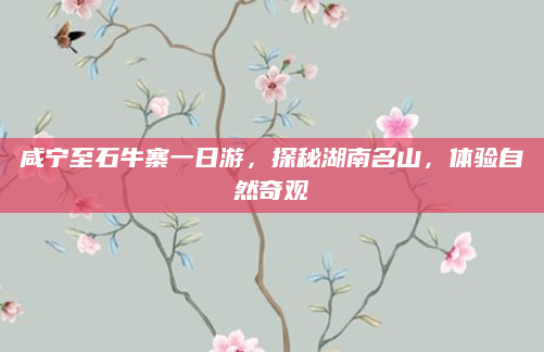 咸宁至石牛寨一日游，探秘湖南名山，体验自然奇观