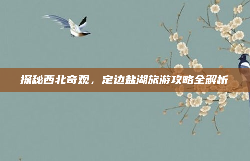 探秘西北奇观,定边盐湖旅游攻略全解析