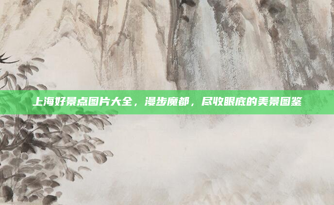 上海好景点图片大全,漫步魔都,尽收眼底的美景图鉴
