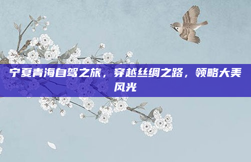 宁夏青海自驾之旅,穿越丝绸之路,领略大美风光