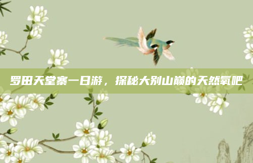 罗田天堂寨一日游，探秘大别山巅的天然氧吧