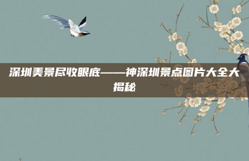 深圳美景尽收眼底——神深圳景点图片大全大揭秘
