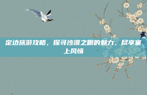 定边旅游攻略,探寻沙漠之眼的魅力,尽享塞上风情