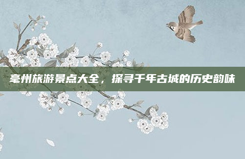 毫州旅游景点大全,探寻千年古城的历史韵味