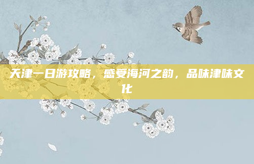天津一日游攻略，感受海河之韵，品味津味文化