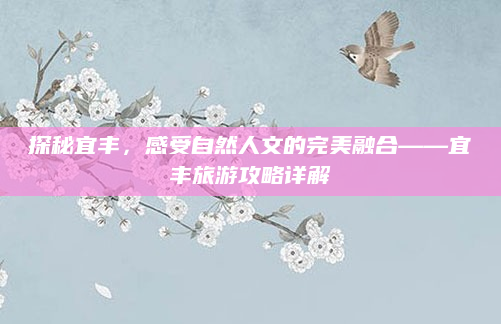 探秘宜丰,感受自然人文的完美融合——宜丰旅游攻略详解