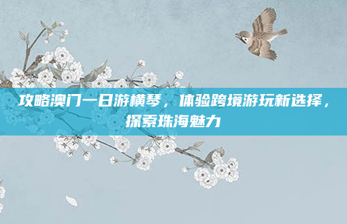 攻略澳门一日游横琴，体验跨境游玩新选择，探索珠海魅力