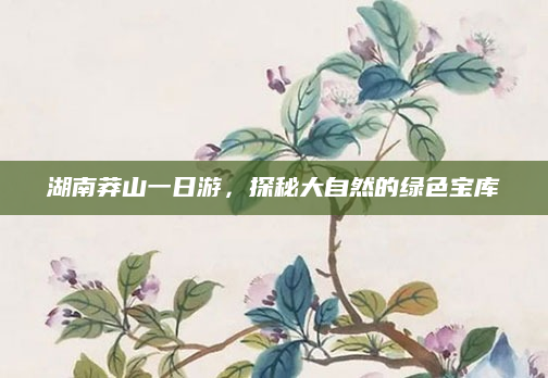 湖南莽山一日游，探秘大自然的绿色宝库