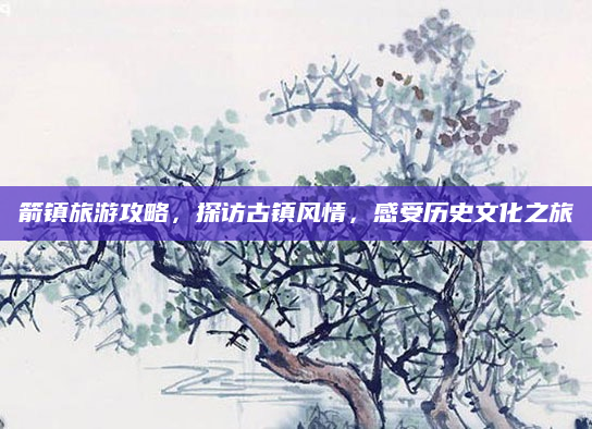 箭镇旅游攻略,探访古镇风情,感受历史文化之旅