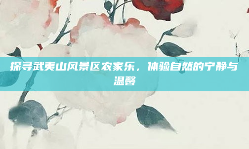 探寻武夷山风景区农家乐,体验自然的宁静与温馨