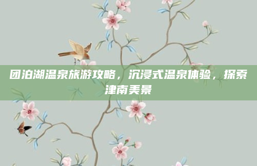 团泊湖温泉旅游攻略,沉浸式温泉体验,探索津南美景