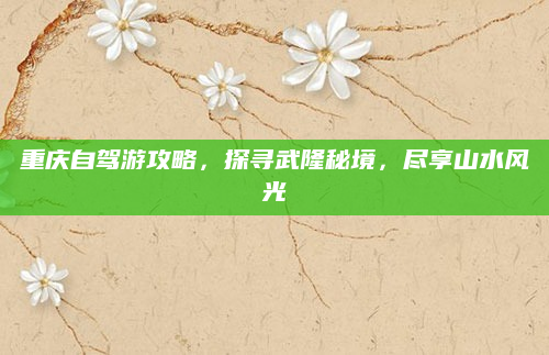 重庆自驾游攻略,探寻武隆秘境,尽享山水风光
