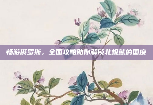 畅游俄罗斯，全面攻略助你解锁北极熊的国度
