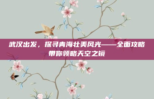 武汉出发，探寻青海壮美风光——全面攻略带你领略天空之镜
