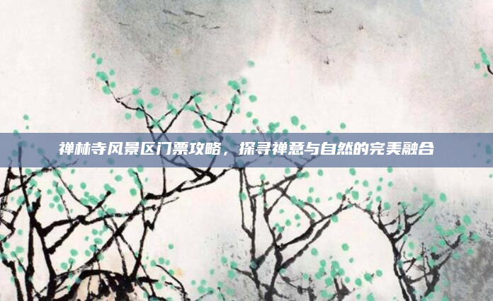 禅林寺风景区门票攻略，探寻禅意与自然的完美融合