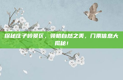 探秘庄子岭景区，领略自然之美，门票信息大揭秘！