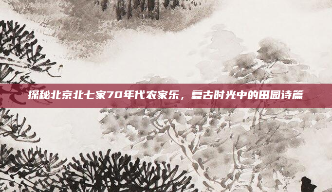探秘北京北七家70年代农家乐,复古时光中的田园诗篇