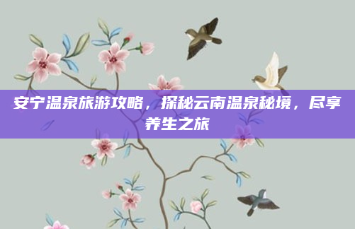 安宁温泉旅游攻略,探秘云南温泉秘境,尽享养生之旅