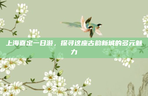 上海嘉定一日游,探寻这座古韵新城的多元魅力