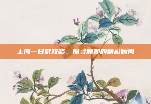 上海一日游攻略,探寻魔都的精彩瞬间