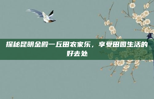 探秘昆明金殿一丘田农家乐，享受田园生活的好去处