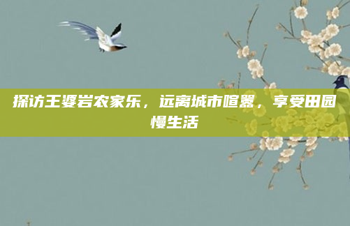 探访王婆岩农家乐,远离城市喧嚣,享受田园慢生活