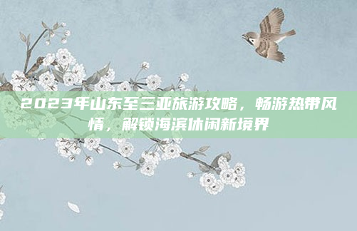 2023年山东至三亚旅游攻略，畅游热带风情，解锁海滨休闲新境界