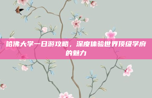 哈佛大学一日游攻略，深度体验世界顶级学府的魅力