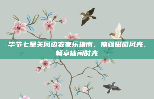 毕节七星关周边农家乐指南,体验田园风光,畅享休闲时光
