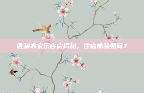 胜利农家乐客房揭秘,住宿体验如何?